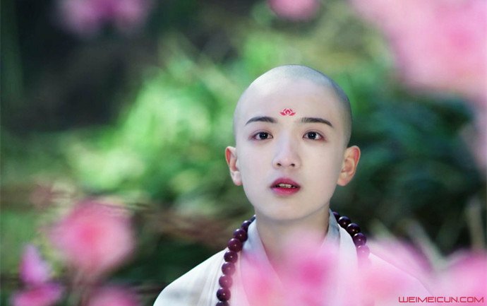 天真派西游记白骨精第几集