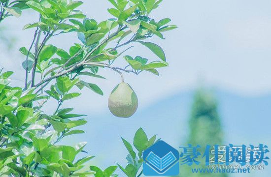 2019母亲节朋友圈说说短语怎么发 母亲节心情说说大全