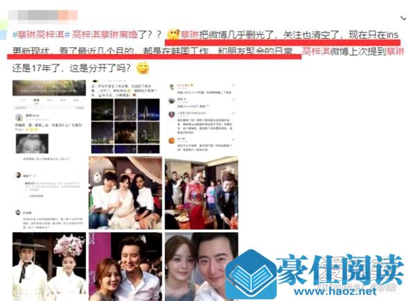 蔡琳高梓淇曝离婚 蔡琳高梓淇为什么离婚