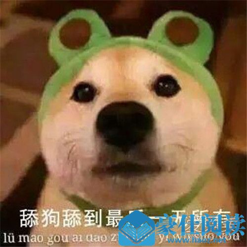 舔狗是表示什么意思 舔狗和钓鱼是什么意思