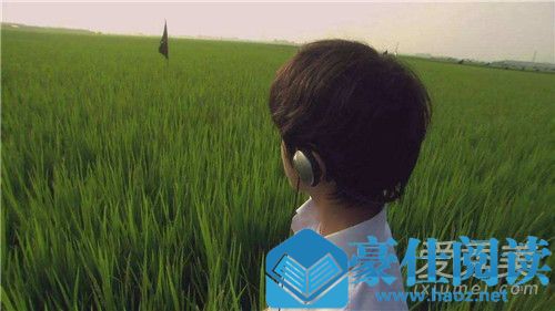 关于莉莉周的一切台词 关于莉莉周的一切豆瓣影评