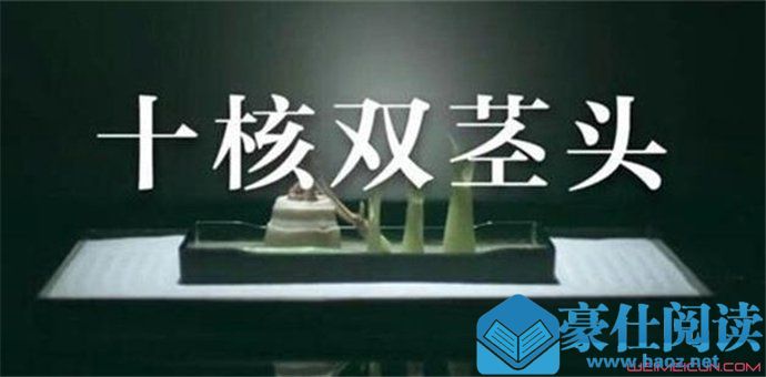 双茎头什么梗