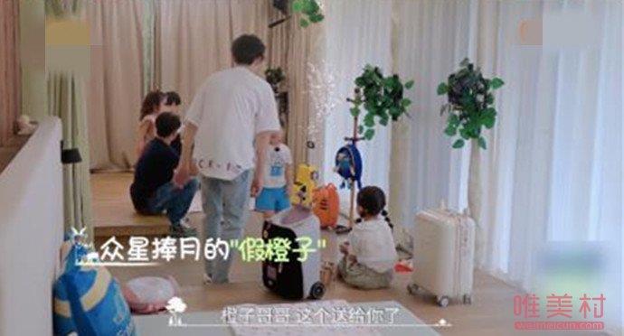 陈哲远被错认成张新成