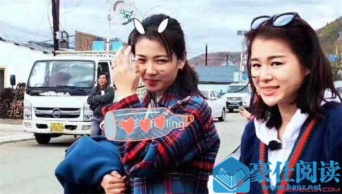 刘涛胡杏儿什么关系