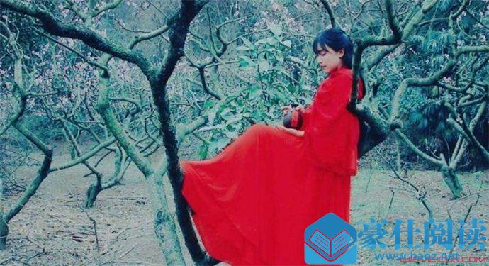 为什么说李子柒有1个亿