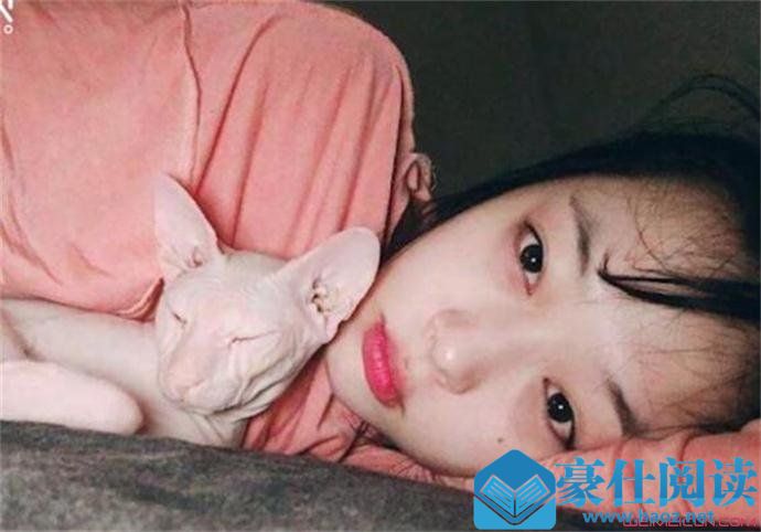 雪莉的猫被金希澈收养真的吗