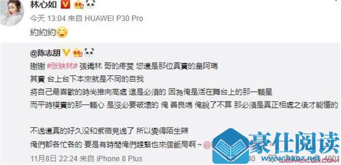林心如回应陈志朋