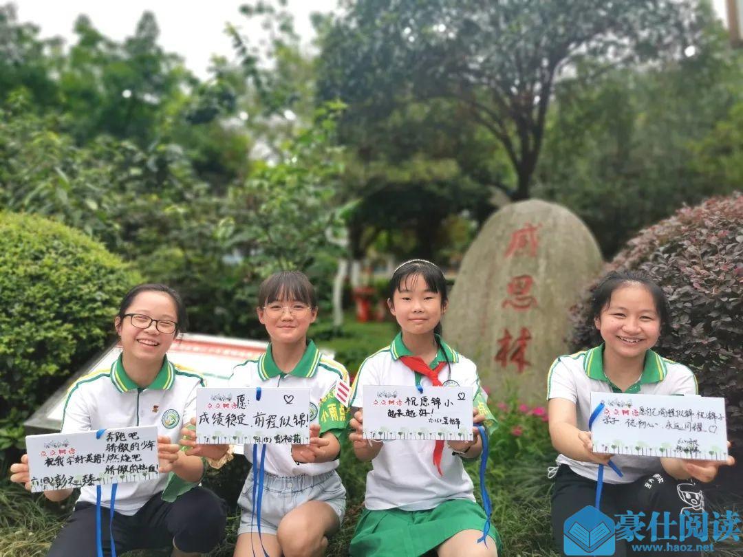 喜报|成都天府新区锦江小学少先队大队被评为“四川省优秀少先队集体”和“成都市优秀少先队集体” 498