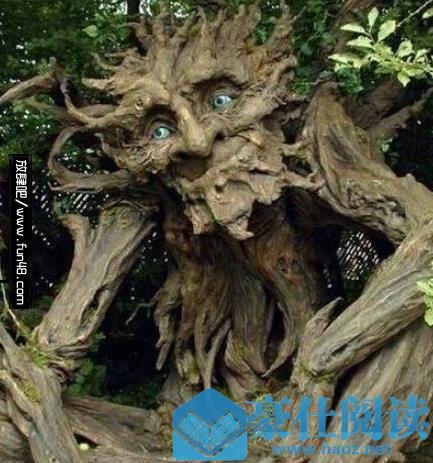 世界上最可怕的植物奠柏，真正会吃人，被称为神树