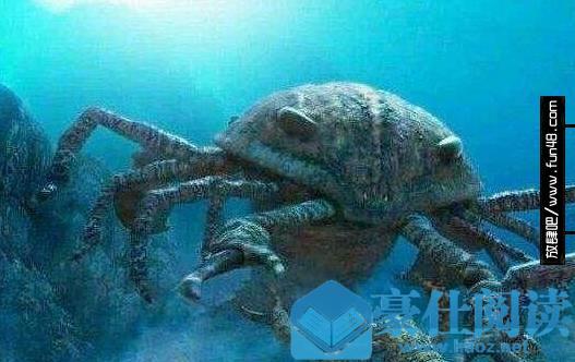 史上最大的寒武纪动物，奇虾是海洋中最凶猛的捕食者