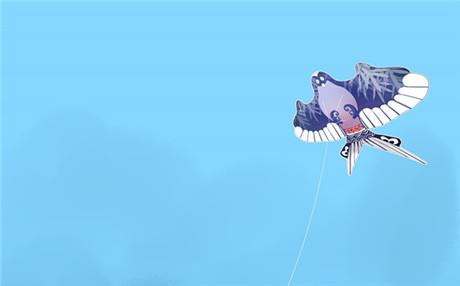 网络质量测试怎么进行
