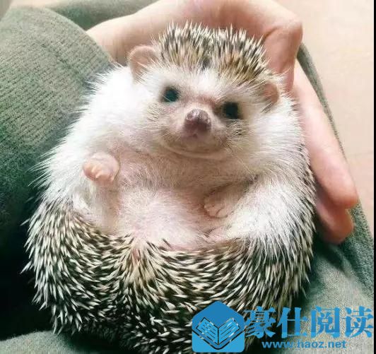 泡妞为什么要找僚机？该怎么找到一个靠谱的僚机？第8张
