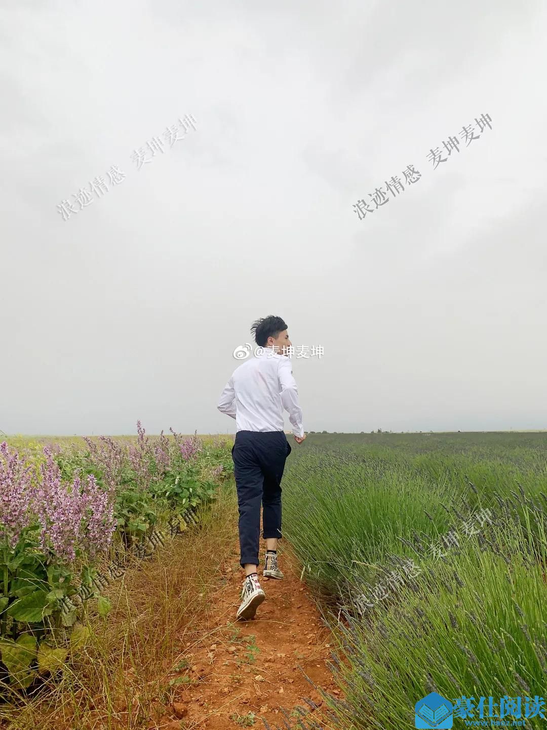 环游欧洲01:埃菲尔铁塔下,兰博基尼里,我在想些什么?第30张