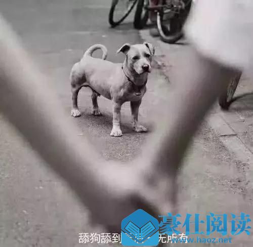 舔狗是什么意思?为什么会处在爱情鄙视链的最末端?第5张