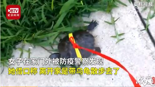 出门遛乌龟被罚款400欧元 警察：违反禁闭规定