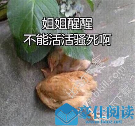 鸡笼警告是什么梗 鸡笼警告啥意思 鸡笼警告是什么梗 鸡笼警告啥意思