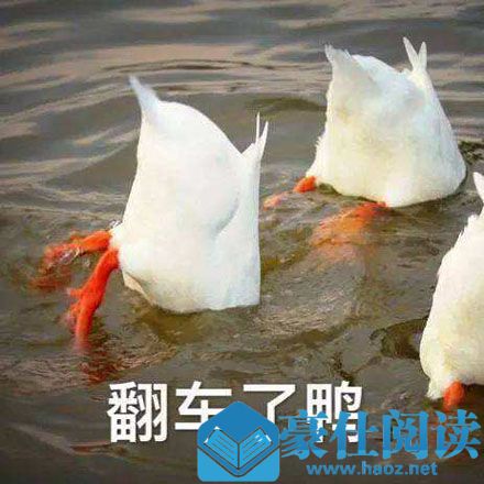 今天也要开心鸭是什么意思 今天也要开心鸭是什么梗