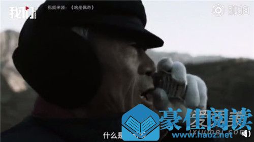 啥是佩奇什么梗 啥是佩奇怎么火的