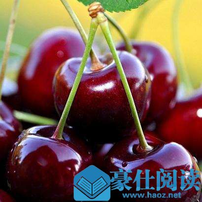 车厘子自由是什么梗 车厘子自由是什么意思