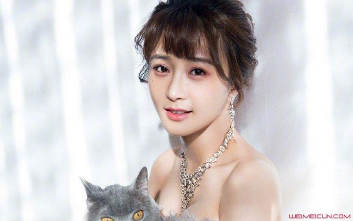 陈冰后来为什么不火