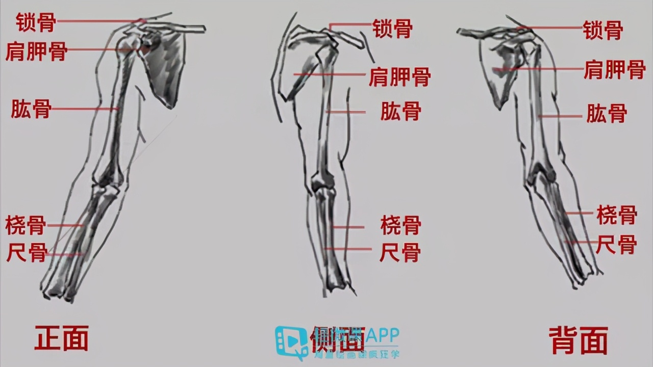 绘画教程 | 画渣也能看懂的漫画手臂画法教程