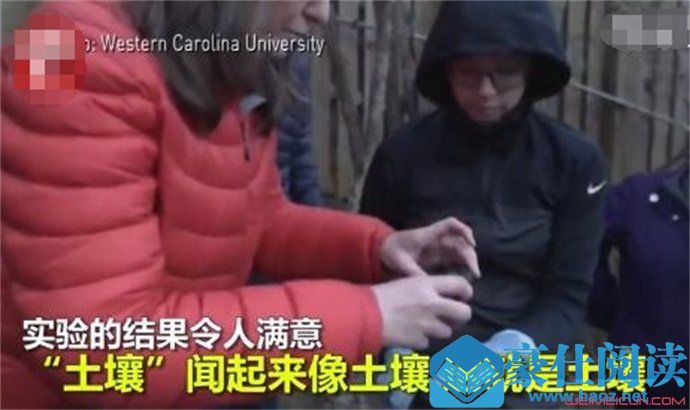 人类遗体堆肥葬