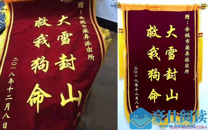 大雪封山救我狗命