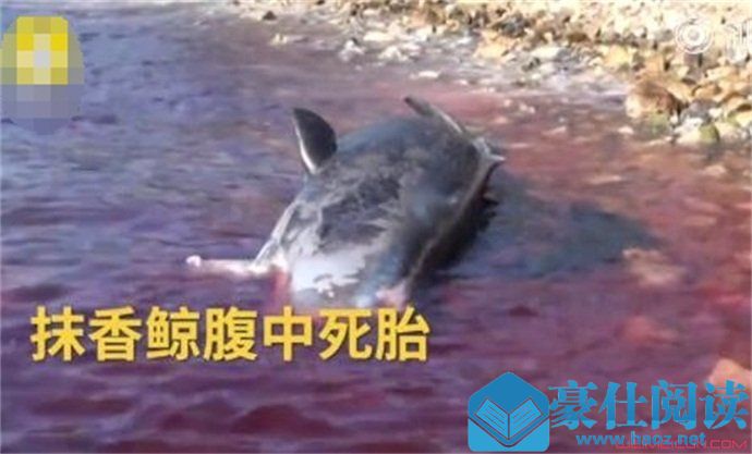 胎死腹中