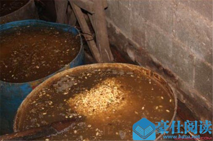 粪水臭豆腐是真的吗