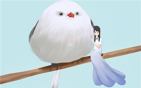 如何进行婚恋心理咨询？