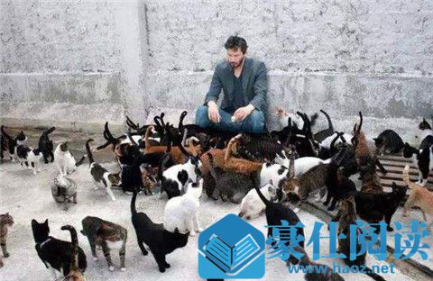 林志玲改名黑泽志玲,嫁给日本人的她幸福了吗?第10张