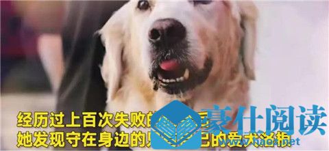 正确的约会步骤这在里,别再像个直男一样和女生约会第2张