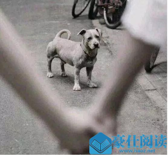 如何判断妹子是否喜欢你?不再产生人生三大错觉第3张