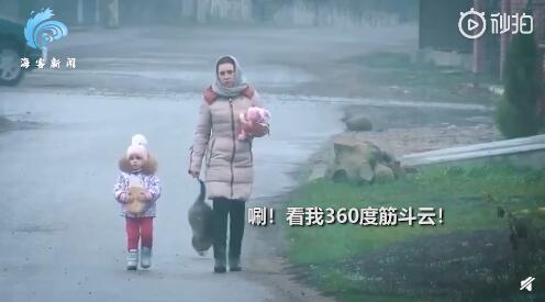 胖猫走路突然起飞360度空翻 网友直呼“老忍者”