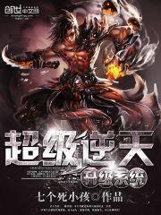 超级逆天升级系统