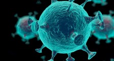 新型肺炎病毒几月可以结束 取消疫情隔离最新通知未出
