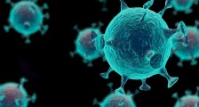 新冠病毒来源于哪里确定了吗 美国彻查的结果怎么样了