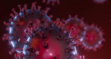 美国找到病毒来源了吗 其专家及世卫均已确认病毒源头