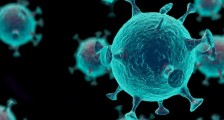 美国找到病毒来源了吗 全球新冠肺炎确诊第一人在哪国