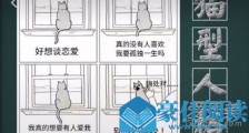 抖音猫性人格是什么意思 猫性人格女生有什么特点
