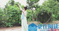李子柒在什么地方取景 李子柒家在哪个村