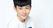 小欢喜林磊儿谁演的 刘奇个人资料介绍