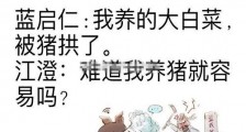 陈情令猪和大白菜是什么梗 蓝家一共几颗白菜被拱了