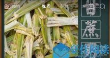 抖音甘蔗男是什么意思 甘蔗男是什么梗