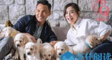 电影小q经典台词 电影小q精彩对白