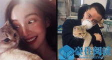 贾乃亮金晨是什么情况 贾乃亮金晨什么情况