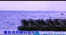 东来东往成名曲叫什么 曾经红极一时如今却因吸毒获刑星途尽毁