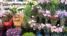 花店不开了花继续开什么意思 花店不开了花继续开出处哪里