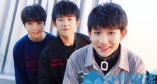 tfboys应援色和应援口号是什么 tfboys粉丝名为什么叫四叶草