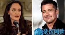 惊呆了!朱莉皮特结束婚姻 这到底是个什么情况?